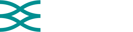 Business Modelling Associates